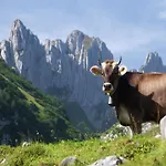 In Valais Near Lift & Valley