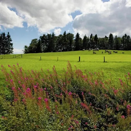 Chalet In Valais Near Lift & Valley *