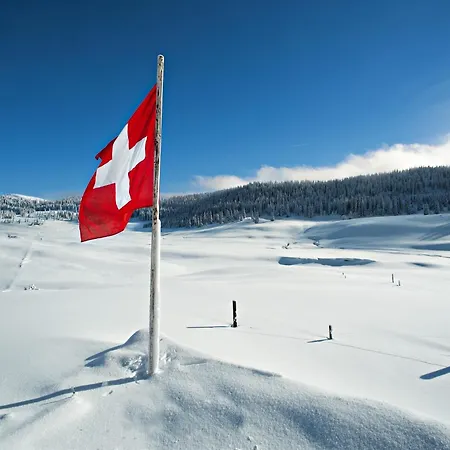 In Valais Near Lift & Valley *