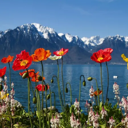 In Valais Near Lift & Valley 샬레 *