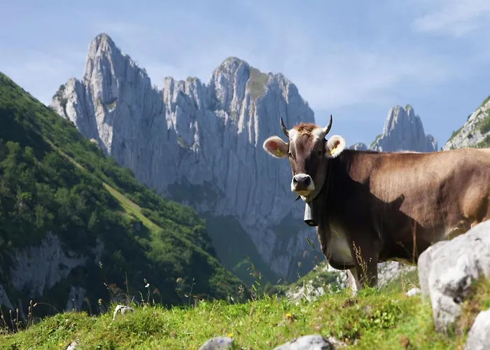 In Valais Near Lift & Valley