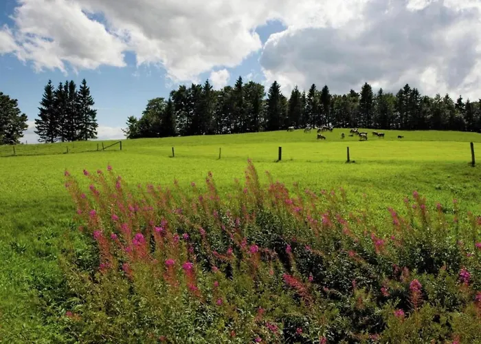 샬레 In Valais Near Lift & Valley *