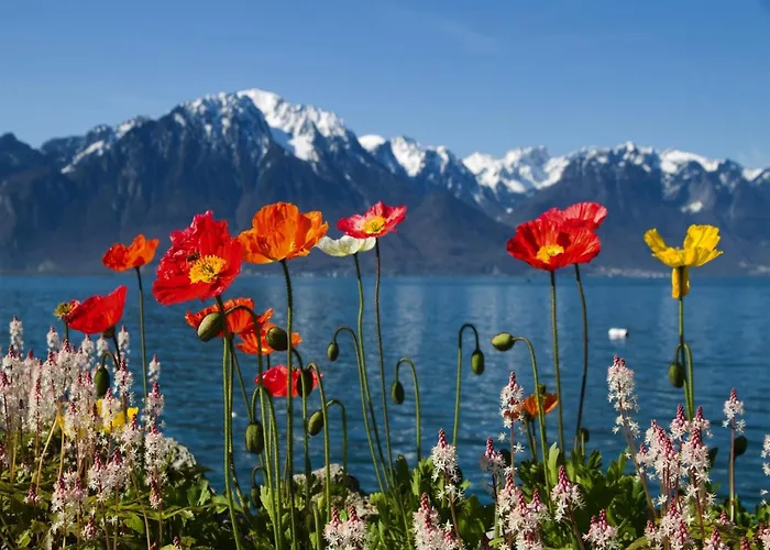 In Valais Near Lift & Valley 샬레 *